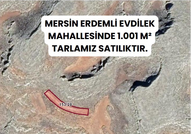 MERSİN ERDEMLİ EVDİLEK MAHALLESİNDE 1.001 M² TARLAMIZ SATILIKTIR - MERSİN ERDEMLİ fotoğraf 6